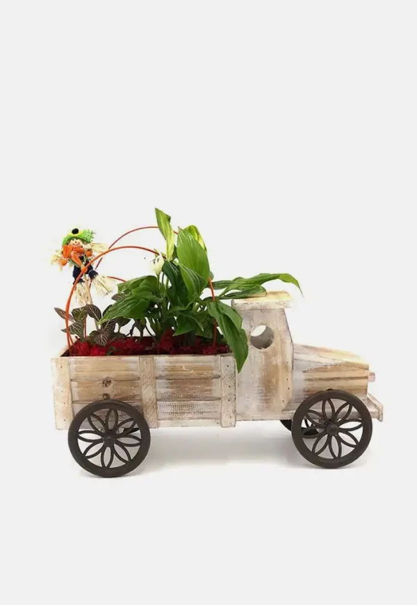 Camión rústico de plantas naturales