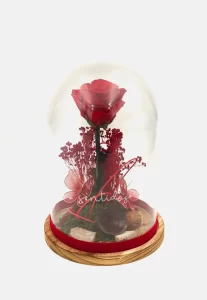 Cúpula de rosa eterna GRAN PETIT
