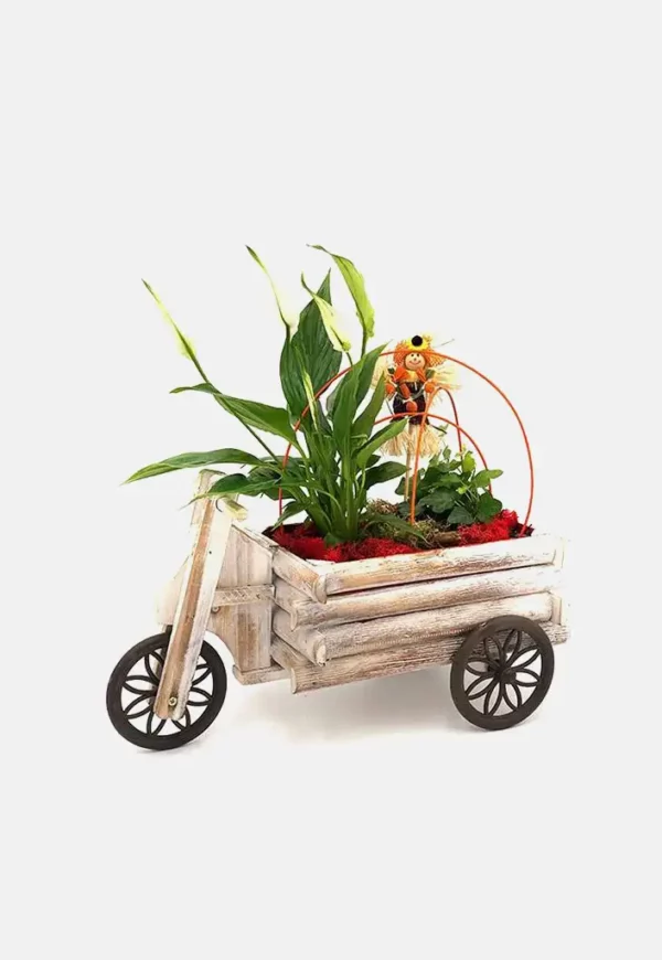 Moto carro rústico de plantas naturales