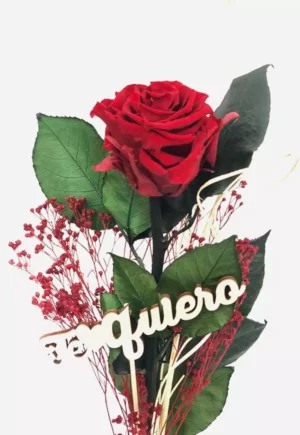 Rosa árbol de la vida Rojo