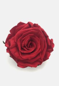 rosa roja