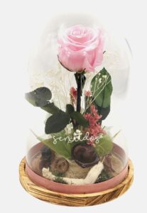 cupula rosa bebe