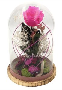 cupula fucsia