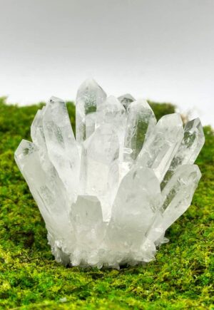 Drusa de cuarzo cristal natural con puntas transparentes sobre musgo